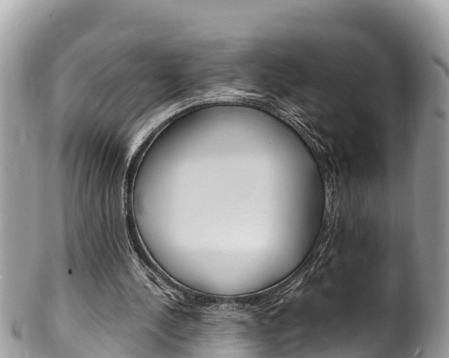 X0000100490244200806130802