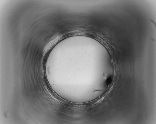 X0000100490245200806130802
