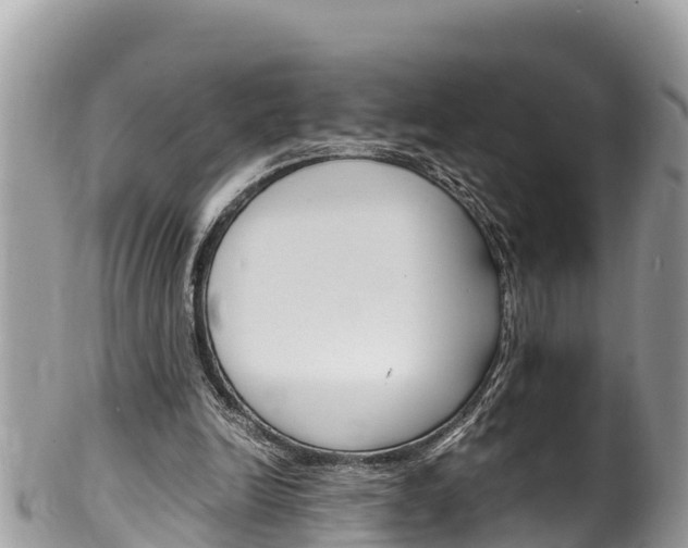 X0000100490246200806130802