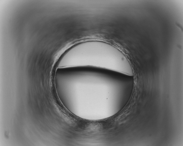 X0000100490248200806130802