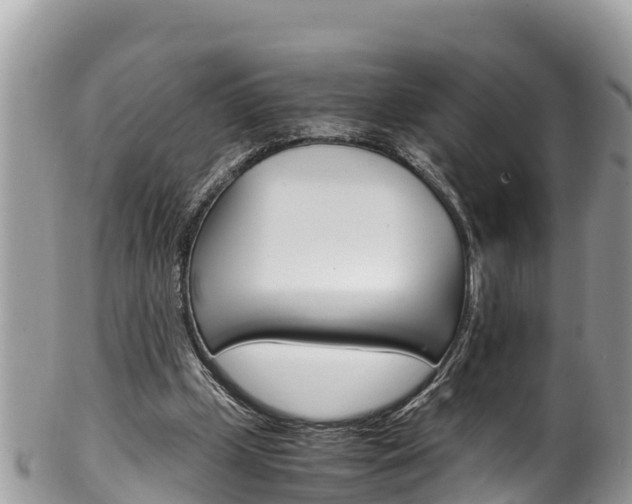 X0000100490249200806130802