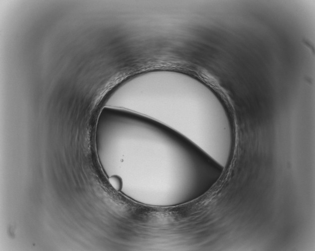 X0000100490250200806130802