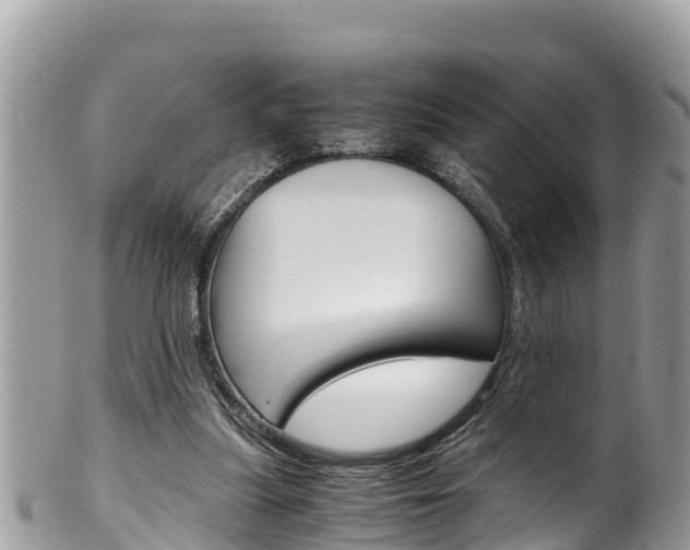 X0000100490251200806130802