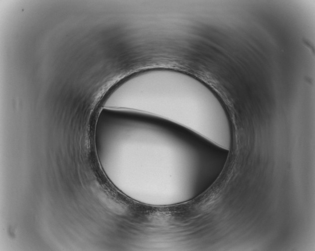 X0000100490252200806130802