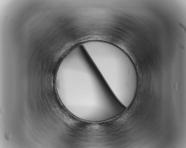 X0000100490253200806130802
