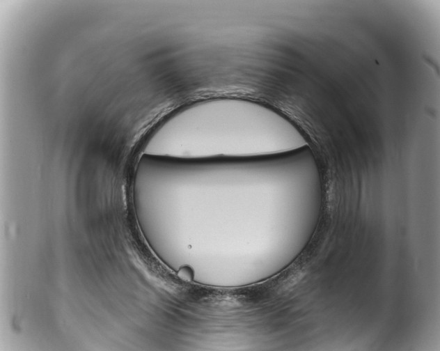 X0000100490254200806130802