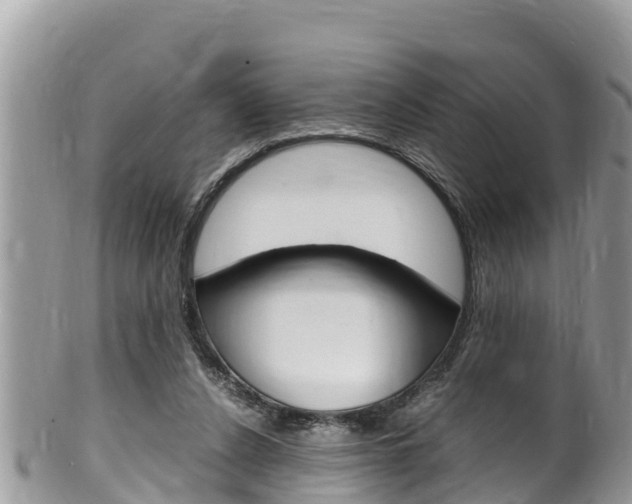 X0000100490256200806130802