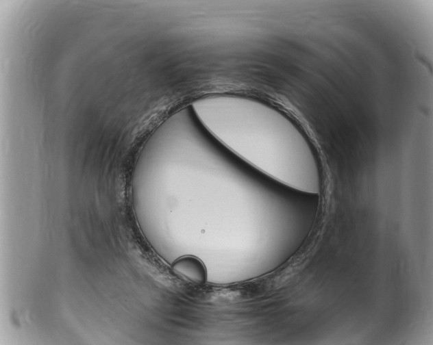X0000100490257200806130802