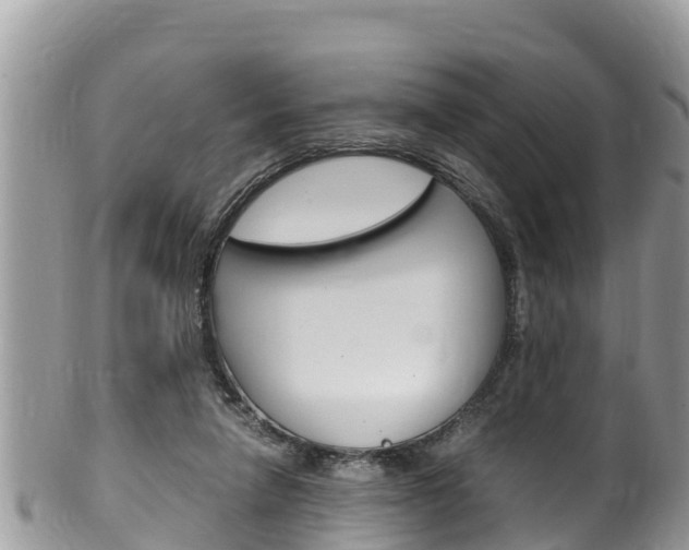 X0000100490258200806130802
