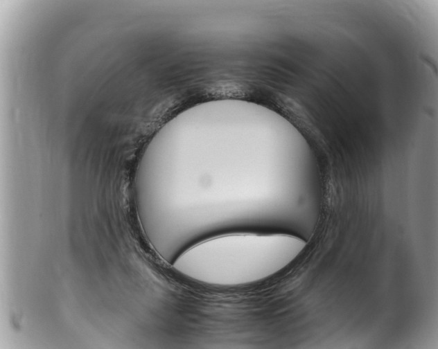 X0000100490259200806130802