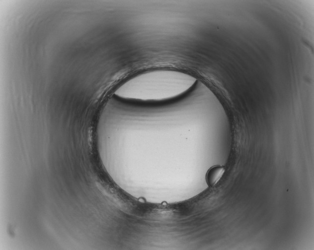 X0000100490260200806130802