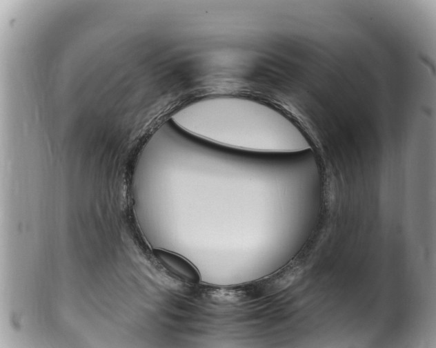 X0000100490261200806130802