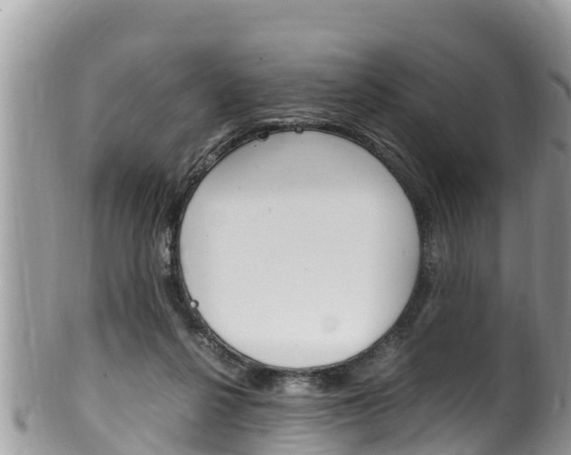 X0000100490264200806130802