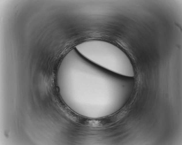 X0000100490265200806130802