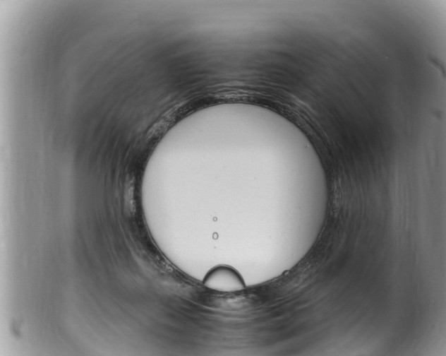 X0000100490267200806130802