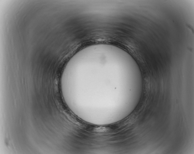 X0000100490269200806130802
