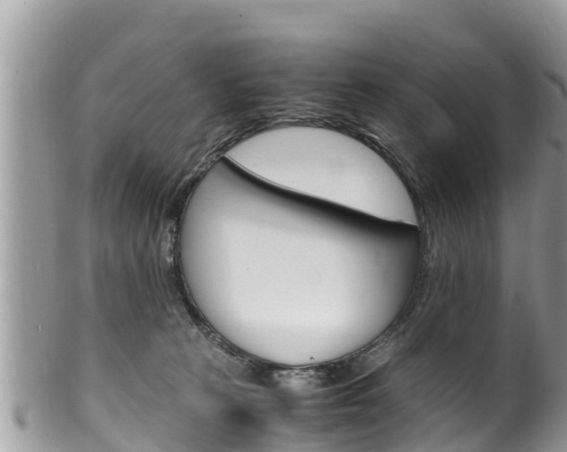 X0000100490273200806130802