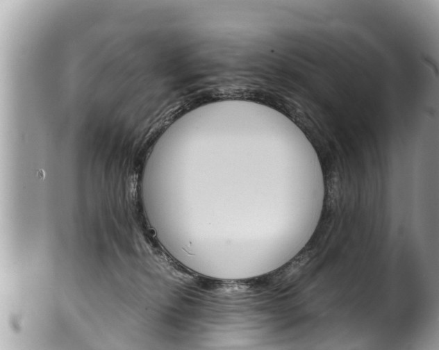 X0000100490278200806130802
