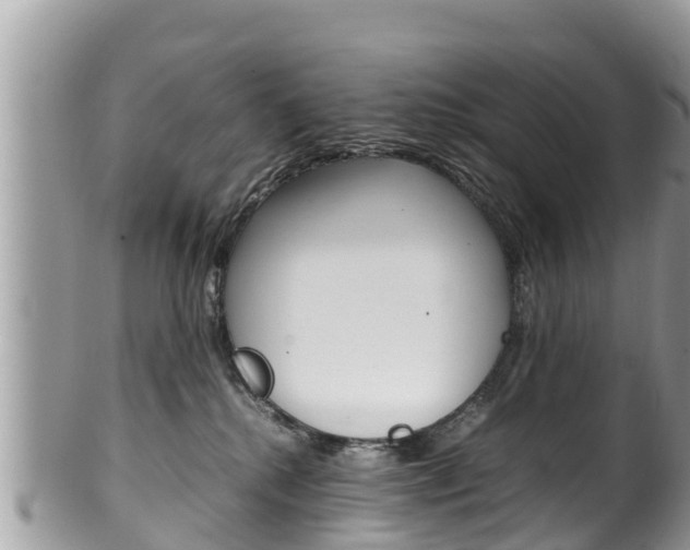 X0000100490280200806130802