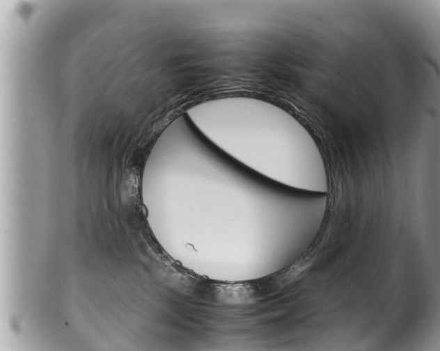 X0000100490281200806130802
