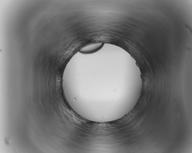 X0000100490282200806130802