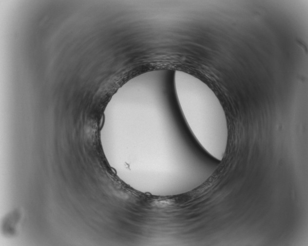 X0000100490283200806130802