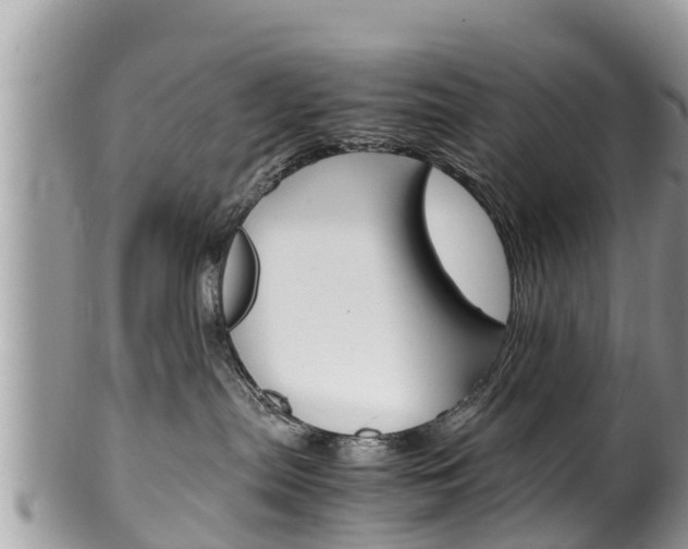 X0000100490287200806130802