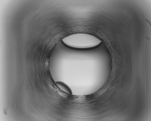 X0000100490288200806130802