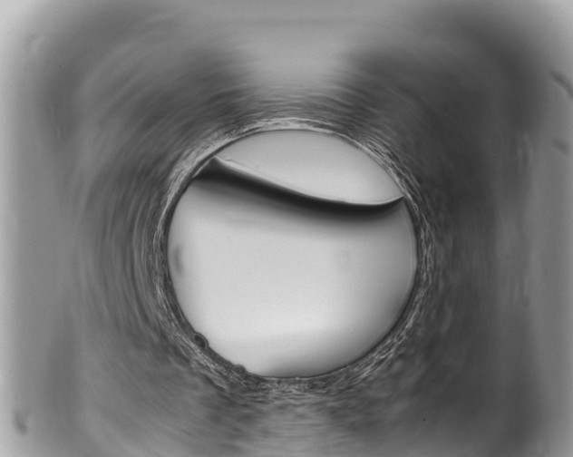 X0000100490289200806130801