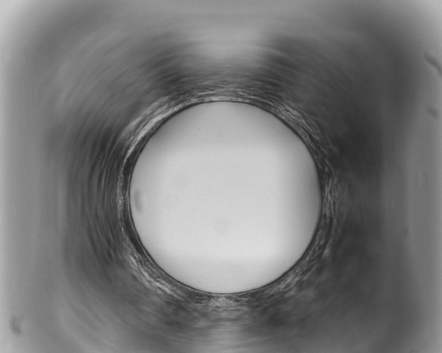 X0000100490290200806130801