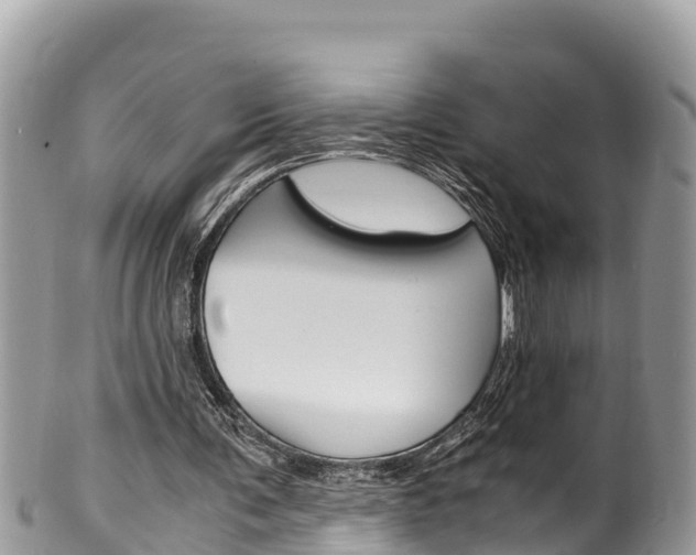 X0000100490291200806130801