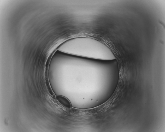 X0000100490292200806130801