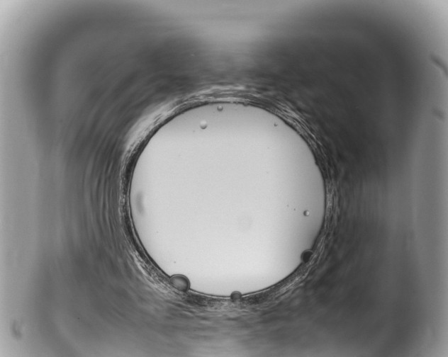 X0000100490293200806130801