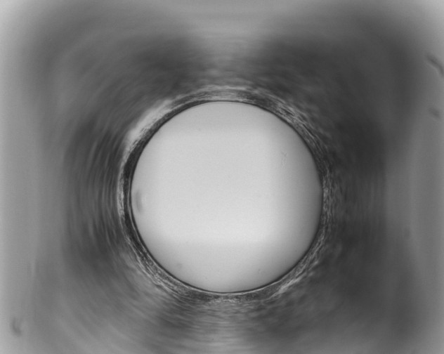 X0000100490294200806130801