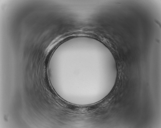 X0000100490295200806130801