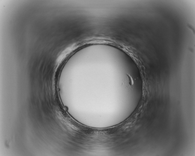 X0000100490296200806130801