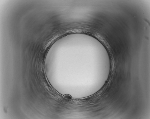 X0000100490297200806130801