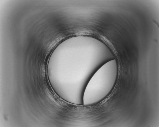 X0000100490298200806130801