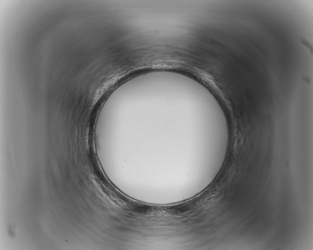 X0000100490299200806130801