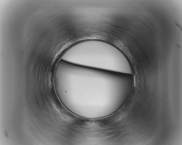 X0000100490300200806130801