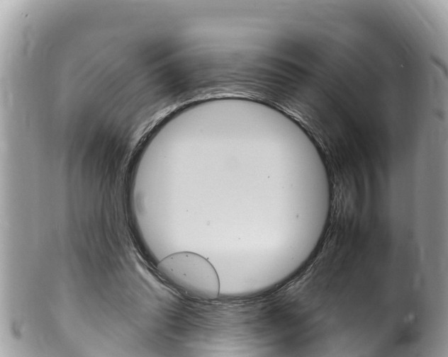 X0000100490302200806130801