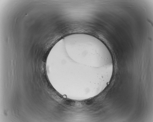 X0000100490305200806130801