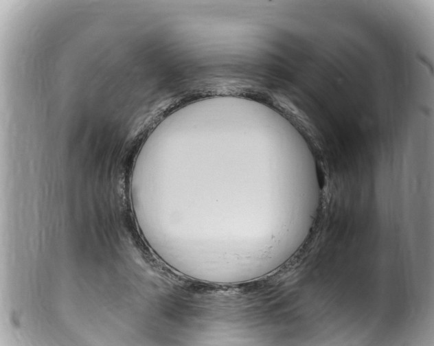 X0000100490306200806130801