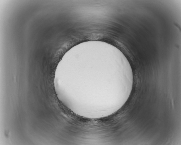 X0000100490307200806130801