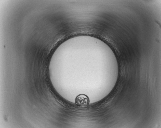 X0000100490308200806130801