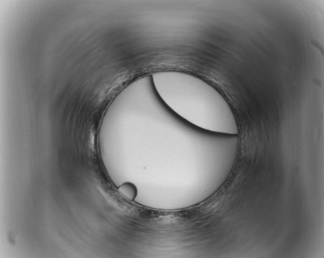 X0000100490310200806130801
