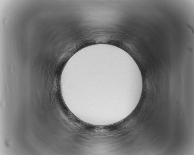 X0000100490311200806130801