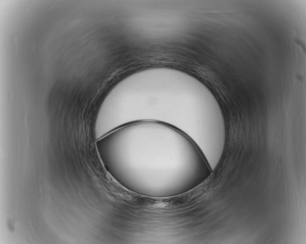 X0000100490312200806130801
