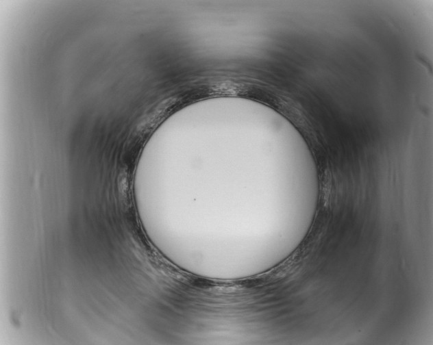 X0000100490314200806130801