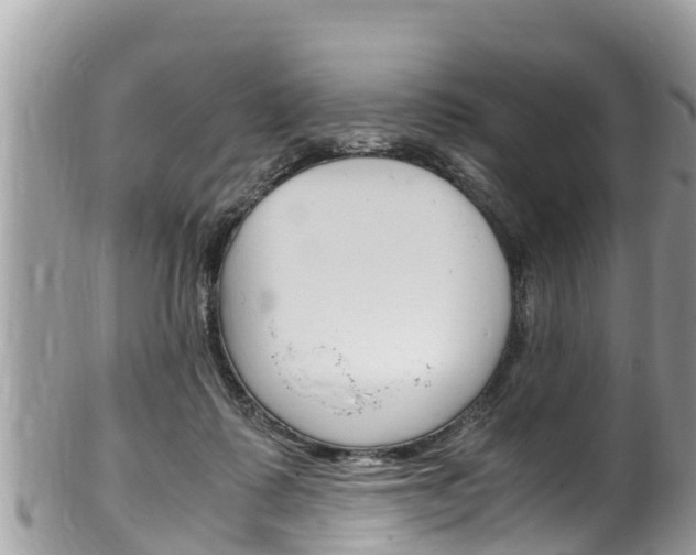 X0000100490315200806130801